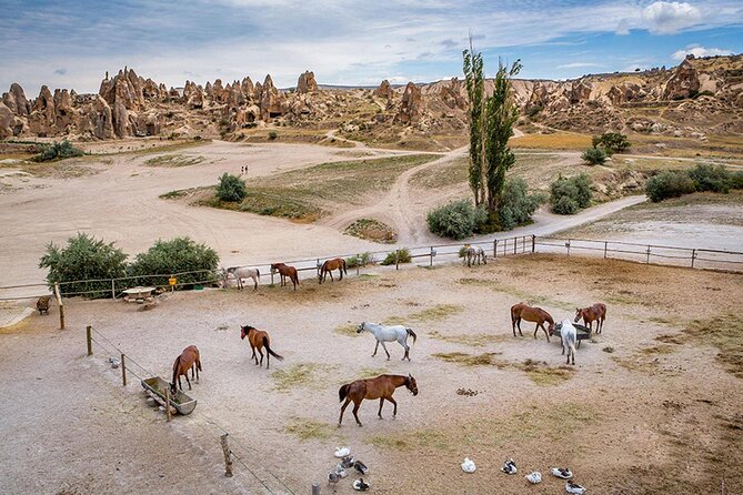 10-Days Istanbul, Ephesus, Pamukkale, Antalya & Cappadocia Tour - Antalya and the Waterfall Circuit: More Than Beach Time