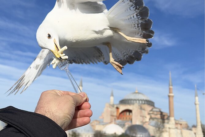 Best of Istanbul City Full-Day Tour with Transfers - A 7-Hour Istanbul Highlights Loop With Transfers