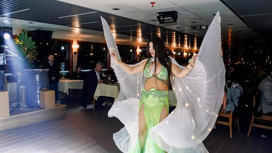 Bosphorus Dinner Cruise & Dance Shows with Private Table - Who This Cruise Suits Best (And Who Should Think Twice)