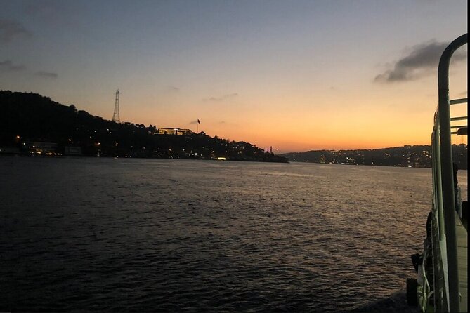 Bosphorus Explorer: 3-Hour Cruise with Asian Side Visit - Rumeli Hisarı and the Bosphorus Bridge Underpass You Can Feel