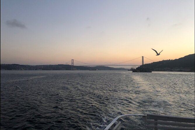 Bosphorus Explorer: 3-Hour Cruise with Asian Side Visit - What the Guide and On-Board Setup Are Like