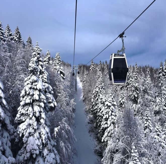 Bursa Nature Tour with Lunch & Cable Car (optional) - Lunch In Bursa, Then The 638-Year-Old Plane Tree