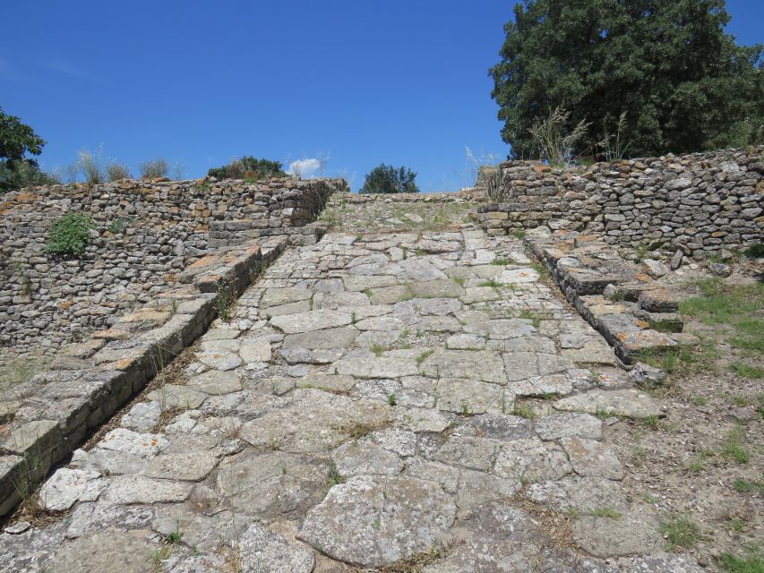 Canakkale: Full-Day Troy and Gallipoli Tour - Time on the Bus vs Time on Your Feet