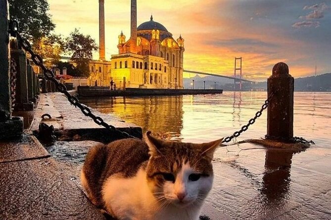 Circle Istanbul (Extraordinary Istanbul) - Crossing to Asia: ferry time to Kadıköy, plus the Bosphorus cruise