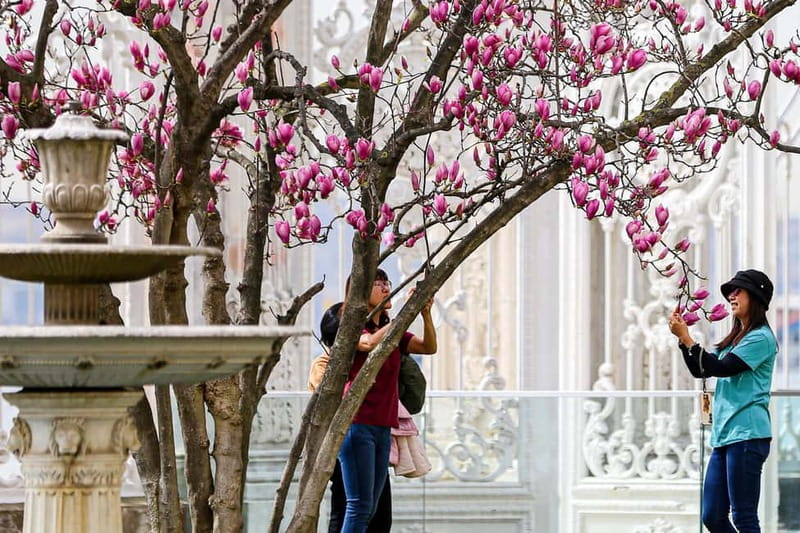 Dolmabahce Palace & Harem Fast-Track Entry with Audio Guide - The audio guide device: multilingual and easy to use