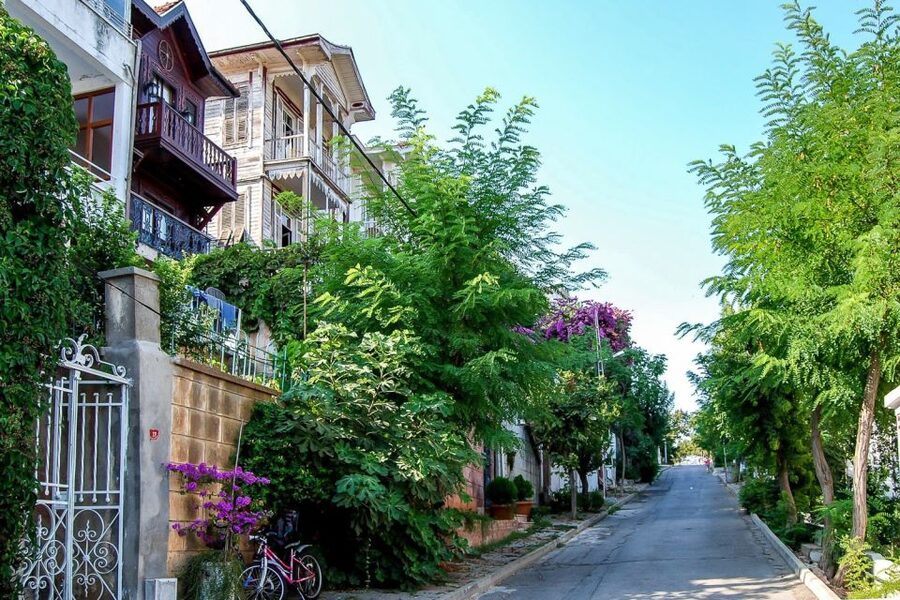From Istanbul: Full-Day Princes Island Tour with Lunch - Kınalıada Stop: A Short Island Moment That’s Built for Wandering