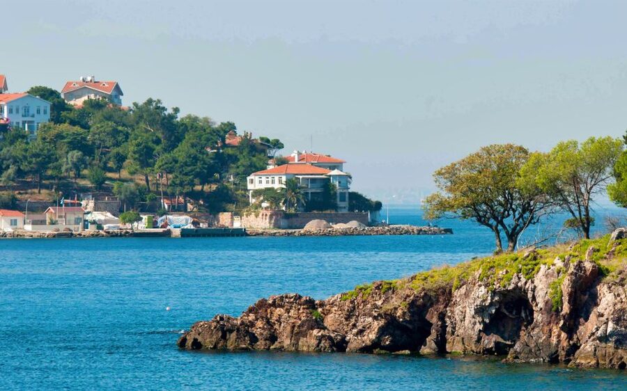 From Istanbul: Full-Day Princes Island Tour with Lunch - Büyükada: Mansions, Seagulls, and How You Should Spend Your Free Time