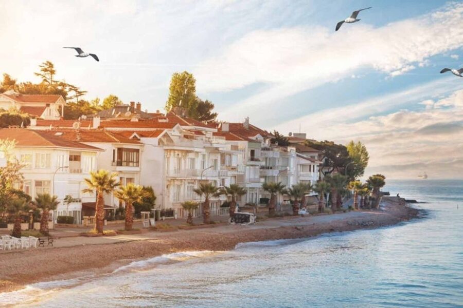 From Istanbul: Full-Day Princes Island Tour with Lunch - Back to Istanbul: The Return Cruise and the Quick Shopping Stretch