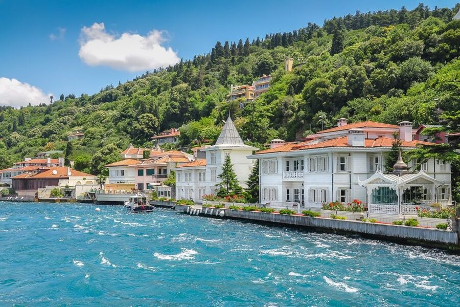 From Istanbul: Full-Day Princes Island Tour with Lunch - Who Should Book This Princes Islands Day Trip