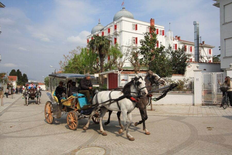 From Istanbul: Full-Day Princes Island Tour with Lunch - From Istanbul to the Islands: The Cruise Views and On-Boat Storytelling