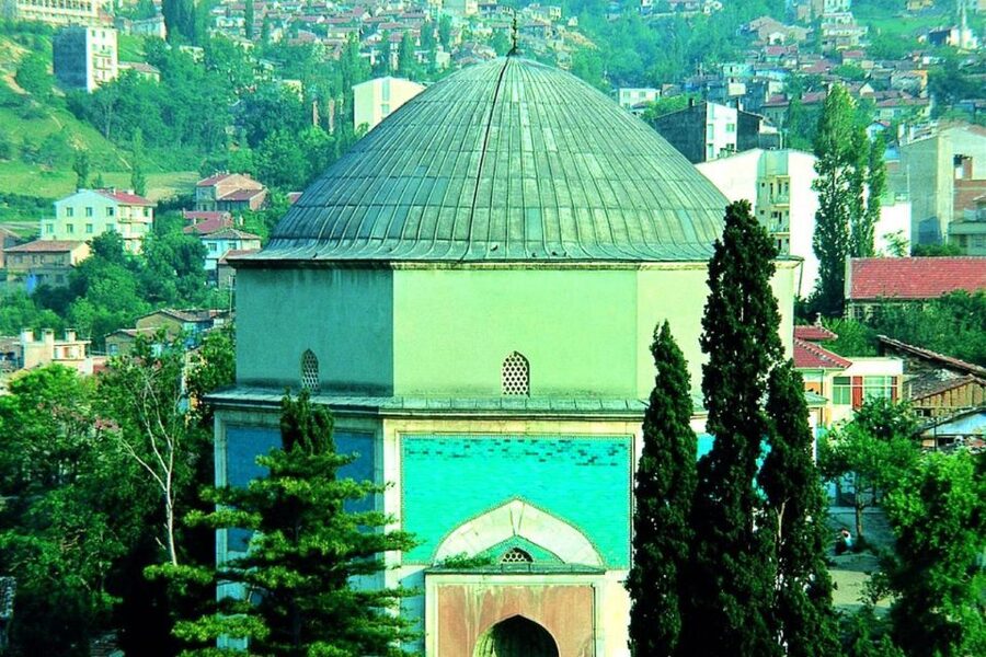 From Istanbul: Full-Day Tour to Bursa - Shopping Stops and the 600-Plus-Year-Old Tree: How to Handle the Sales Focus