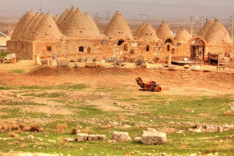 From Istanbul: Gobeklitepe Day Tour - Price and Value: Paying for Flights, Private Transfers, and Built-In Time