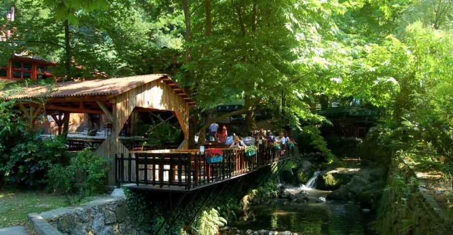 From Istanbul: Guided Day Trip to Sapanca and Masukiye - Key Highlights You’ll Actually Feel on This Tour