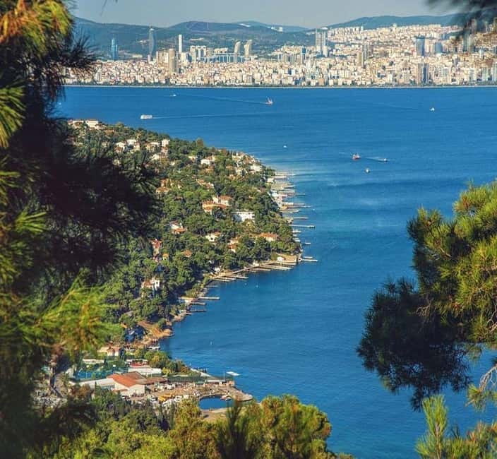 From Istanbul: Princes Island Tour with 2 Islands - Price and logistics: is about $24 good value?