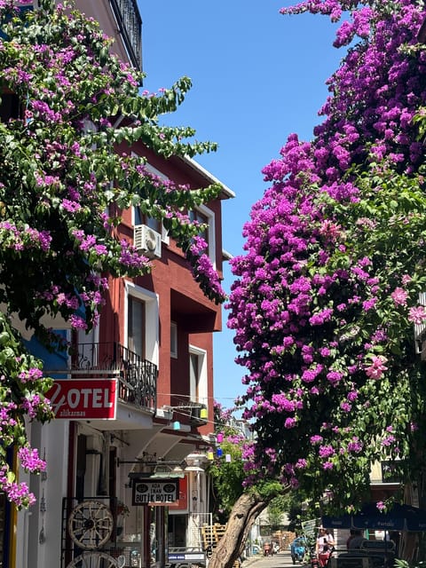 From Istanbul: Princess Islands Guided Tour - Heybeliada’s 1-Hour Window: Walking, Photos, and Where to Spend Your Time