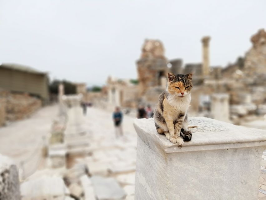 From Istanbul: Private Guided Day Trip to Ephesus with Lunch - Hotel pickup in Istanbul, then IST or SAW to Izmir