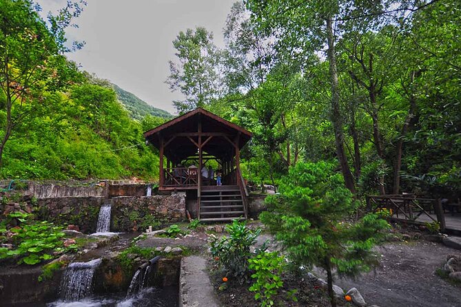 From Istanbul: Sapanca and Masukiye Day Trip with Lunch - Sakarya stop and the Turkish delight factory visit: fun, or a time-waster?