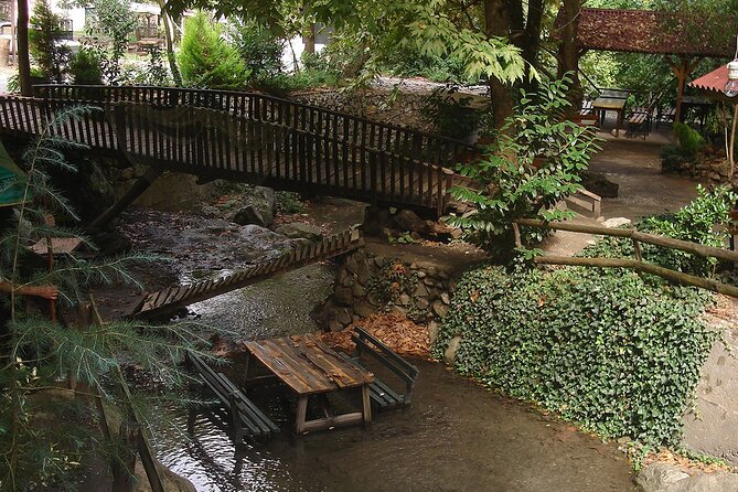 From Istanbul: Sapanca and Masukiye Day Trip with Lunch - Lunch near the waterfall area at a local restaurant: good value, check the timing