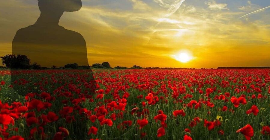 Gallipoli Full-Day Tour from Istanbul - Group pace, walking reality, and how to prepare without overthinking it