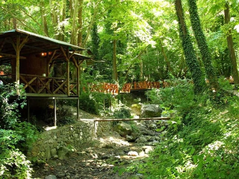 Guided Day Trip to Sapanca and Masukiye From Istanbul - Masukiye Village Lunch: Organic Food and Wooden-House Calm