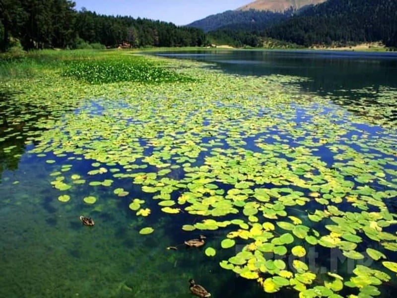 Guided Day Trip to Sapanca and Masukiye From Istanbul - Sapanca Lake: The Tectonic-Lake Stop for Easy Walking and Big Photos