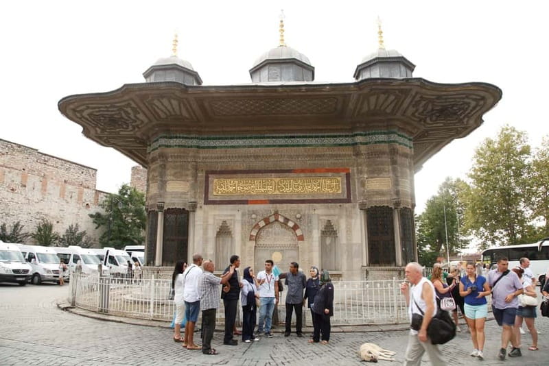 Hagia Sophia & Blue Mosque Half-day Guided, Small Group Tour - Hagia Sophia: What You Gain From a Guided Visit