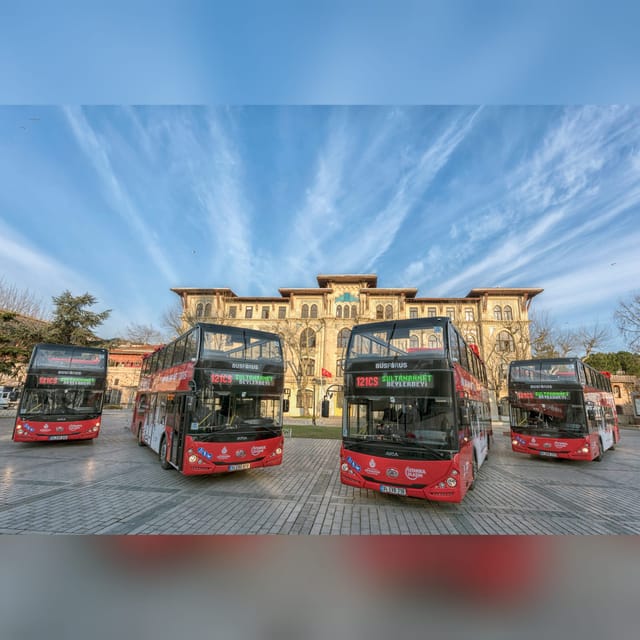 Istanbul: 48-Hour Hop-On Hop-Off Double Decker Bus Ticket - Crowds, Cruise Days, and Keeping Your Day From Getting Stuck