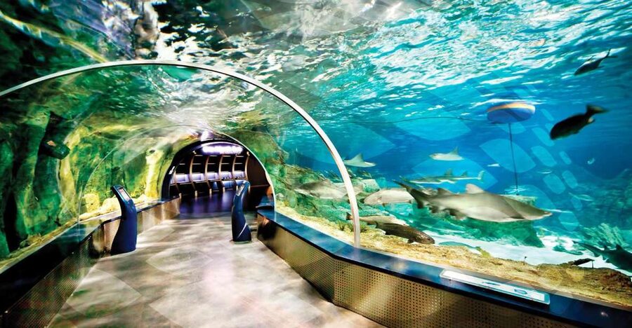 Istanbul Aquarium and Aqua Florya Shopping Mall Tour - Key Things You Will Really Feel on This Tour