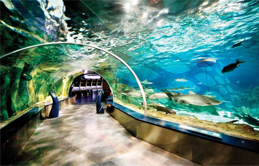 Istanbul Aquarium and Aqua Florya Shopping Mall Tour - Aqua Florya and Istanbul Aquarium: Why This Works in 5 Hours