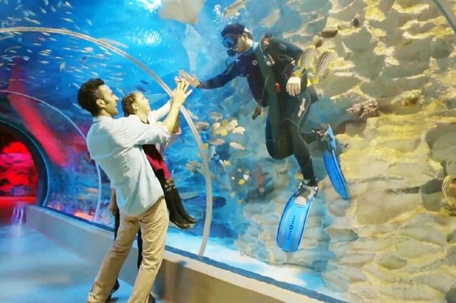 Istanbul Aquarium and Aqua Florya Shopping Mall Tour - Sharks, Stingrays, Penguins: The Highlights You Will Remember
