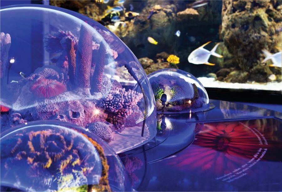 Istanbul Aquarium and Aqua Florya Shopping Mall Tour - 5D Cinema With Fog, Wind, and Water Effects