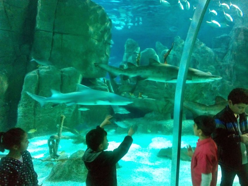 Istanbul Aquarium and Aqua Florya Shopping Mall Tour - Aqua Florya Mall Free Time: Shop, Eat, and Reset