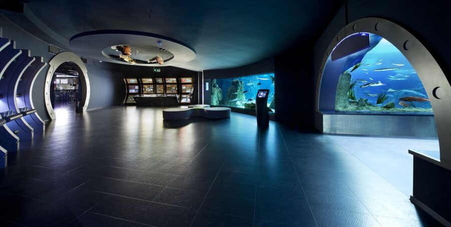 Istanbul Aquarium and Aqua Florya Shopping Mall Tour - Price and Value: Is $177 a Fair Deal?