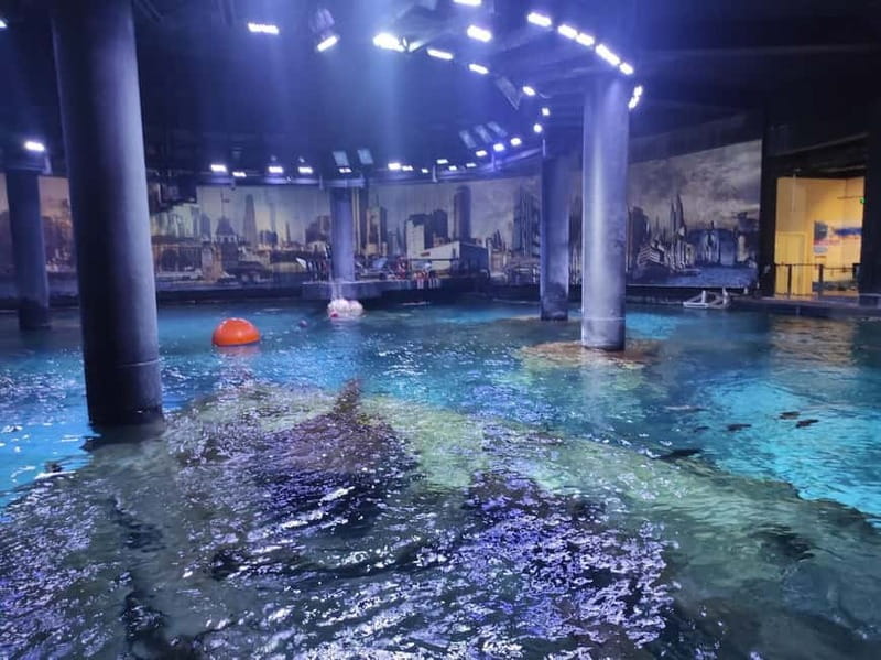 Istanbul: Aquarium Ticket and Round Trip Shuttle from Taksim - Who This Works Best For