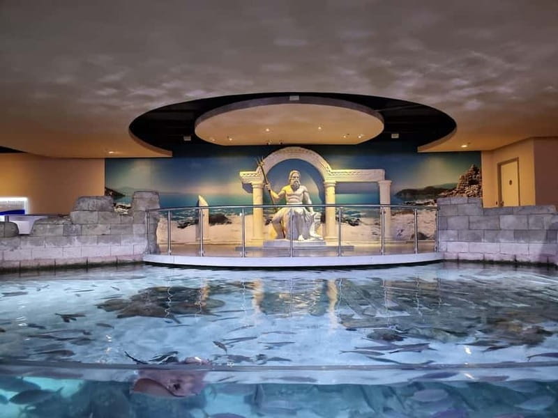Istanbul: Aquarium Ticket and Round Trip Shuttle from Taksim - What You’ll See: 17,000+ Creatures and 1,500 Species