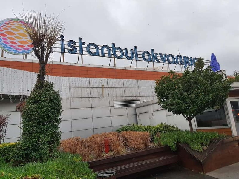 Istanbul: Aquarium Ticket and Round Trip Shuttle from Taksim - Two Floors, Many Habitats: How to Make Your Walk Feel Efficient