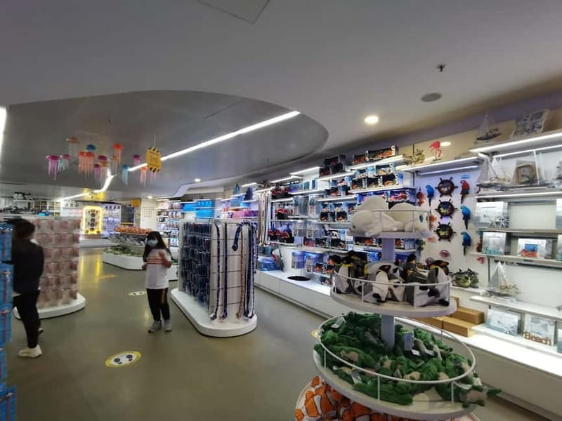 Istanbul: Aquarium Ticket and Round Trip Shuttle from Taksim - Timing and Planning: When the Shuttle Return Shapes Your Choices
