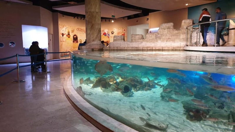Istanbul: Aquarium Ticket and Round Trip Shuttle from Taksim - Price and Value: Is $33 Worth It?