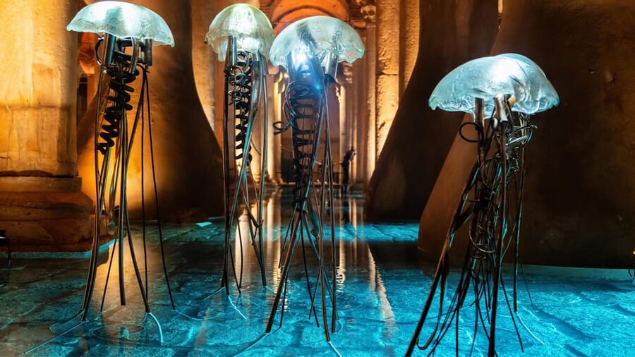 Istanbul: Basilica Cistern Guided Tour - Skip-the-Line Access and How the 30 Minutes Usually Unfold