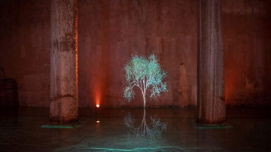 Istanbul: Basilica Cistern Skip-the-Ticket-Line Guided Tour - Price and value: why the final cost may be higher than it first looks