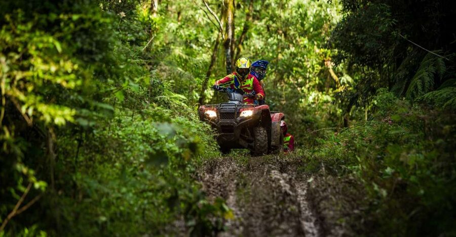 Istanbul: Belgrad Forest ATV Tour with Ziplining Option - Belgrad Forest ATV Is the Real Istanbul Escape (Without the Long Journey)
