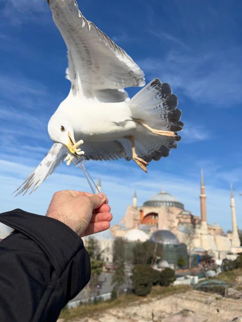 Istanbul: Best of The City Full-Day Tour with Transfers - Sultanahmet Square and the in-between moments