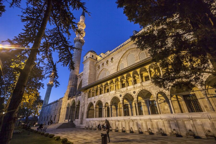 Istanbul: Best of the City Private Full-Day Walking Tour - Price and Logistics: Is $169 Worth It?