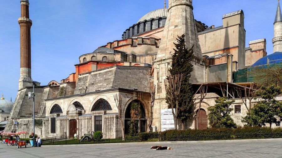 Istanbul: Blue Mosque & Hagia Sophia Guided Tour w/ Tickets - Price and value: what $39 gets you in the Sultanahmet area