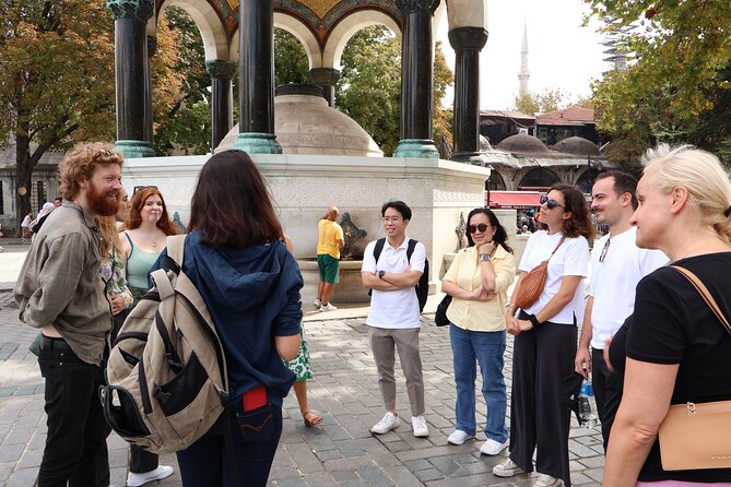 Istanbul: Blue Mosque, Hagia Sophia & Sultanahmet Tour - Price and value for $90.70, when entrance fees are part of the deal