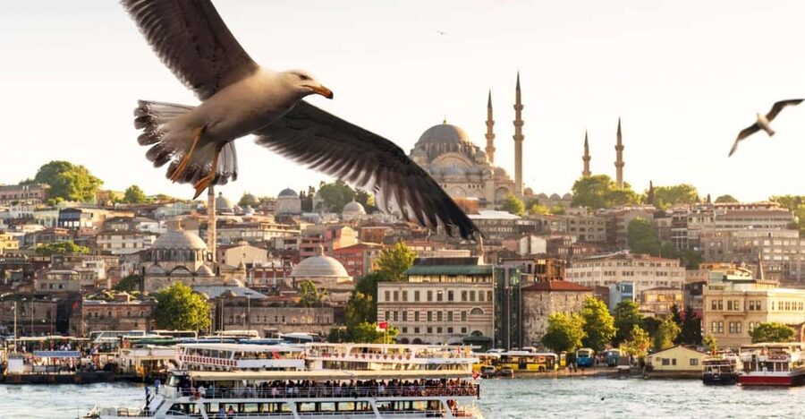 Istanbul: Bosphorus Dinner Cruise with Private Table & Show - Key things that make this cruise worth your time