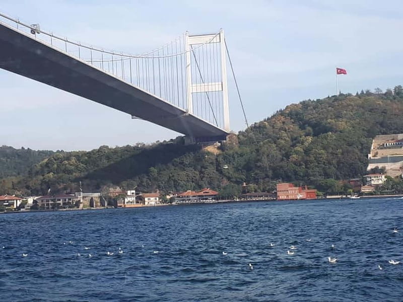 Istanbul: Bosphorus Lunch Cruise with Guide - Palace views you can actually picture: Dolmabahçe and Beylerbeyi