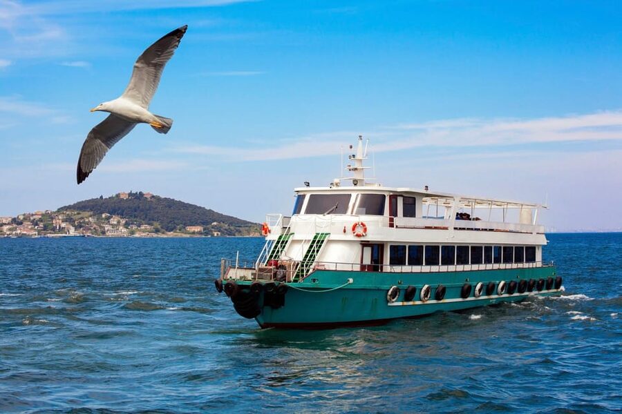 Istanbul: Bosphorus Strait Sightseeing Cruise & Audio Guide - Rumeli Hisarı: the strait’s defensive logic