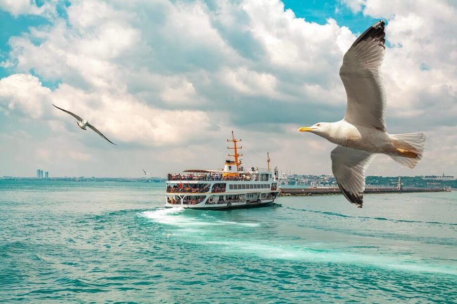 Istanbul: Bosphorus Strait Sightseeing Cruise & Audio Guide - Fatih Sultan Mehmet Bridge: another anchor for Europe to Asia