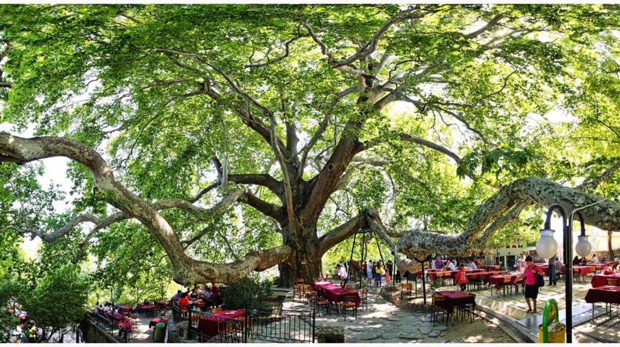 Istanbul: Bursa & Uludag Mountain Day Trip w/ Opt. Cable Car - Key things I’d put on your radar